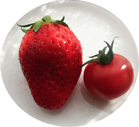 イチゴ（苺　いちご）とミニ・トマト
